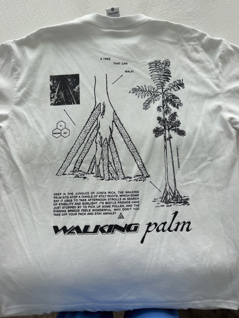 Nike ACG White Short-Sleeve Tee with Black Graphics - Picture 6 of 8